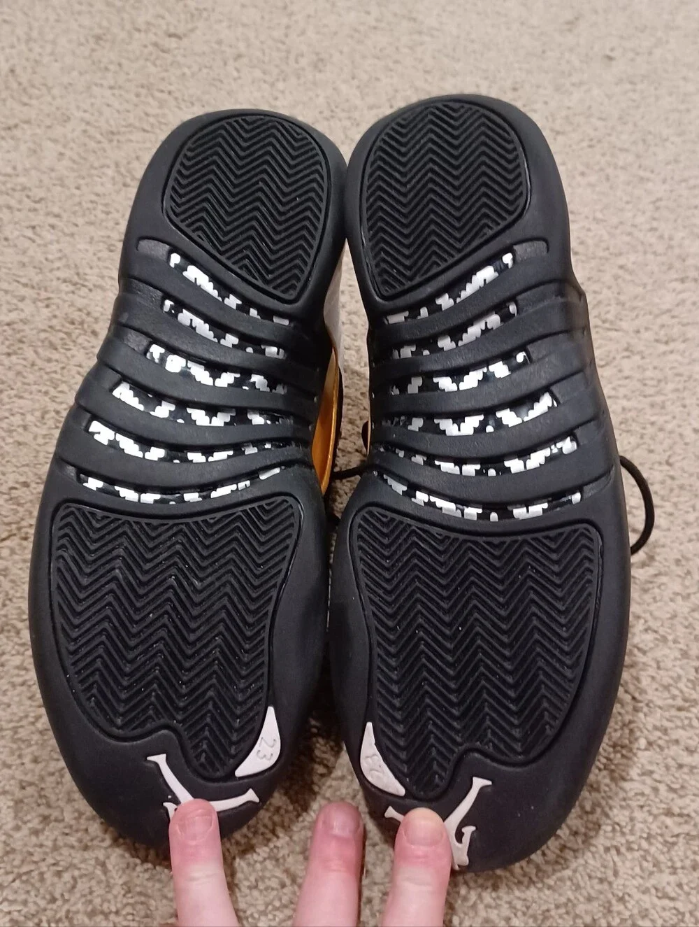 Air Jordan 12 Retro 
